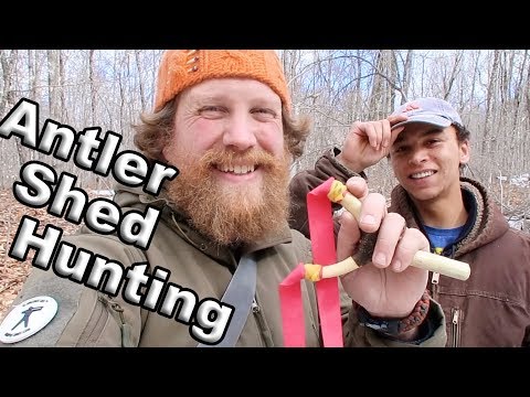 Deer Antler Shed Hunting For Making Slingshots (Vlog #25) Video