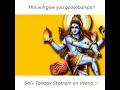 Shiv Tandava Stotram On Veena A Fantastic Performance