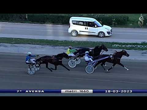 Aversa trotto 18 Marzo 2023 - 7° Corsa