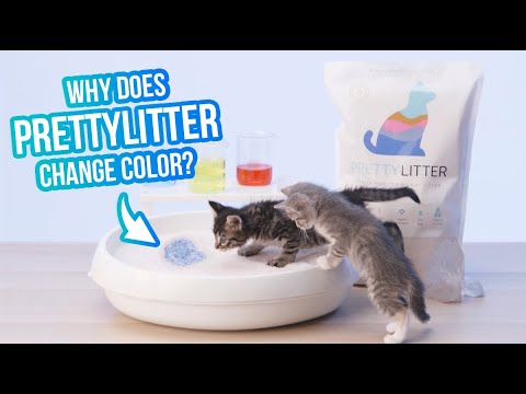 Why PrettyLitter Changes Colors