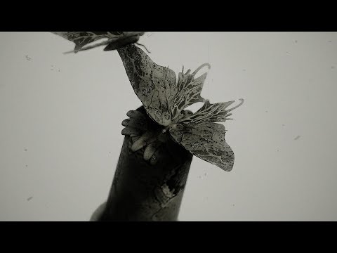 Nightwish - An Ocean Of Strange Islands