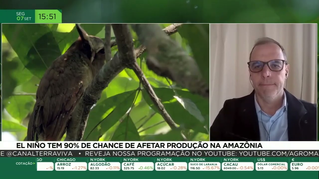 El Niño tem 90% de chance de afetar produção na Amazônia