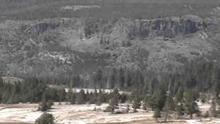 Aug 23 2008 Upper Gesyer Basin Streaming Camera Ca