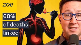 Download lagu #1 Gut Doctor: 4 foods that heal your gut and reduce inflammation (in as little as 24 hours!) mp3