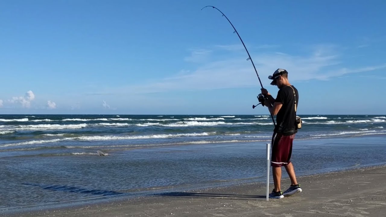 the most dangerous fish at the beach