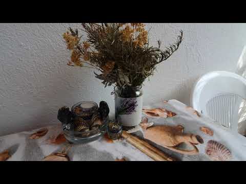 Villa Tija Simuni - "Aldo" Apartment (island Pag - Croatia)