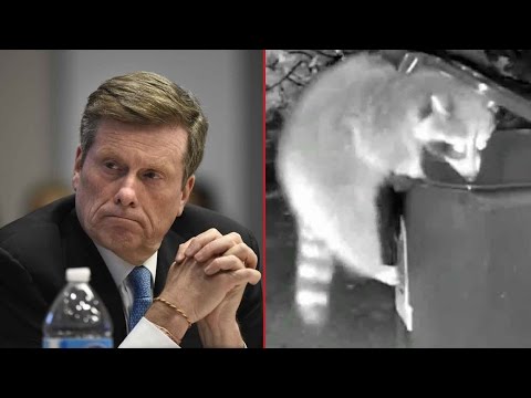 Toronto’s war on the raccoon set to music