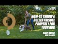 How To Throw A Roller Frisbee Properly For Your Dog Dog Trainer Rachel Sample