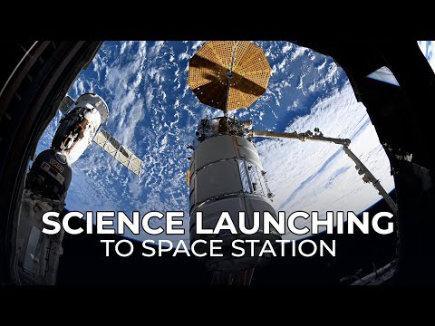 科学：NASAのノースロップ・グラマンCRS-23ミッション、宇宙ステーションへ打ち上げ (Science Launching on NASA’s Northrop Grumman CRS-23 Mission to the Space Station)