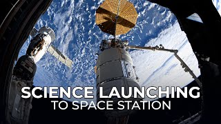 Science Launching on NASA’s Northrop Grumman CRS-23 Mission to the Space Station