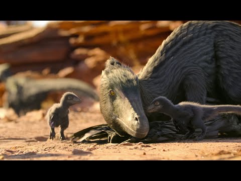 Baby Deinonychus Life on our Planet