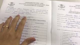 O Que Escrever Na Avaliação De Um Estagiário