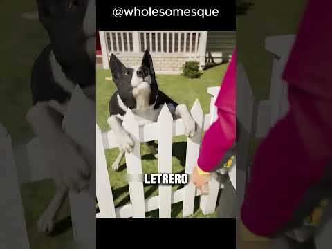 Convirtió el barrio en un club de fans 🐕🎾