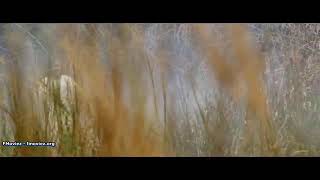 Download lagu KELAM (full movie) - Film Horor Terbaru 2020- Indonesia mp3 Download lagu KELAM (full movie) - Film Horor Terbaru 2020- Indonesia mp3