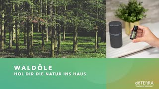 Ätherische Waldöle - hole dir die Natur ins Haus