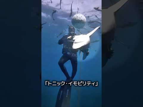 サメをひっくり返す理由