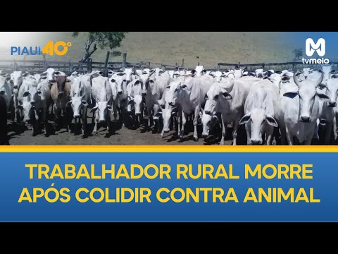 PI: Trabalhador rural morre após colidir contra animal no município de São Miguel do Fidalgo