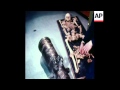 SYND 13/02/80 CANON RETRIEVED FROM SUNKEN SHIP