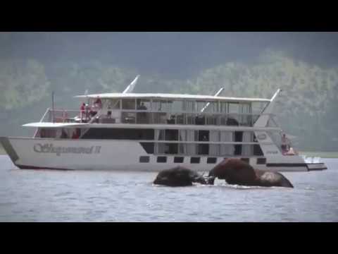 Shayamanzi Houseboats