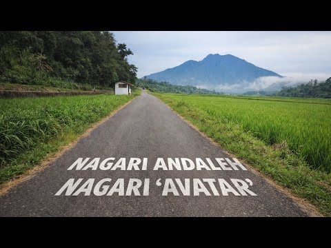 Melewati Andaleh, Kampung Berkabut dengan Nuansa Bak Film Avatar di Lima Puluh Kota