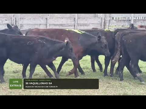 LOTE EXTRA B