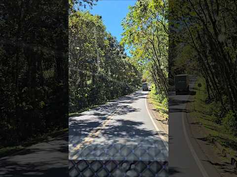 ESTRADAS DO BRASIL - PARANÁ 🌱