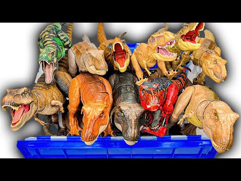 The BIGGEST T-Rex Collection Haul: JP, JW, etc. | Hammond T-Rex, Super Colossal T-Rex, and More!