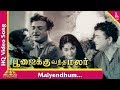 Maiyendhum Song Poojaikku Vandha Malar Tamil Movie Songs Gemini Ganesan Savithri Pyramid Music