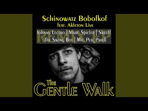 The Gentle Walk (Johnny Lectro Remix)