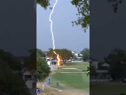 Lightning Strikes a Tree Nearby