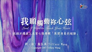 我願觸動祢心弦