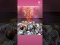 घर में आई लक्ष्मी Ghar Me Padharo Laxmi Mata Laxmipuja Laxmi