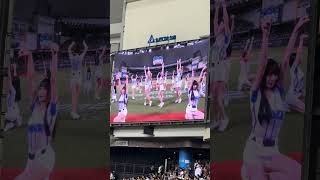 【CT AMAZE】日本VS台湾@台北大巨蛋20241116 #台湾チア #cheerdance #cheerleading #amaze #啦啦隊 #premier12 #teamtaiwan