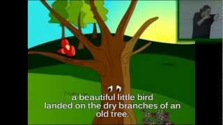 El viejo árbol - Cuento infantil sobre solidaridad