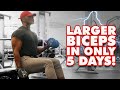 Get Big Biceps in 5 Days - (Bodybuilding Workout)