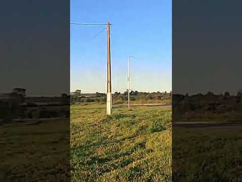 trevo de campo Alegre de Goiás