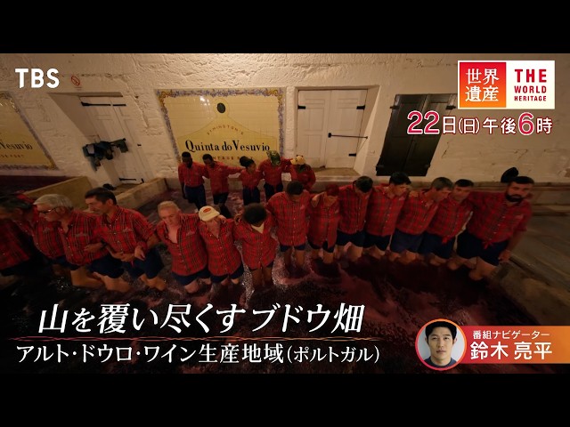 世界遺産🈖🈑