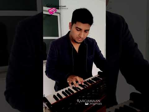 Harmonium Masterpiece | Tujhe Bhula Diya | Raagamaan