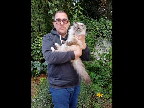 (myvoice dub) Oliver Lieb / Klaus Kinski - Jesus ist da! (Engl. Refrain "In Search of Jesus Christ")