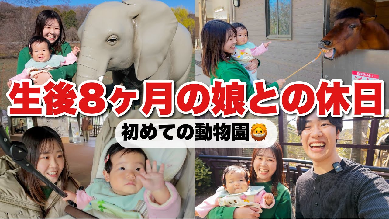 生後8ヶ月の娘の動物園デビュー！初めて動物を見た娘の反応が可愛すぎた休日【横浜動物園ズーラシア】