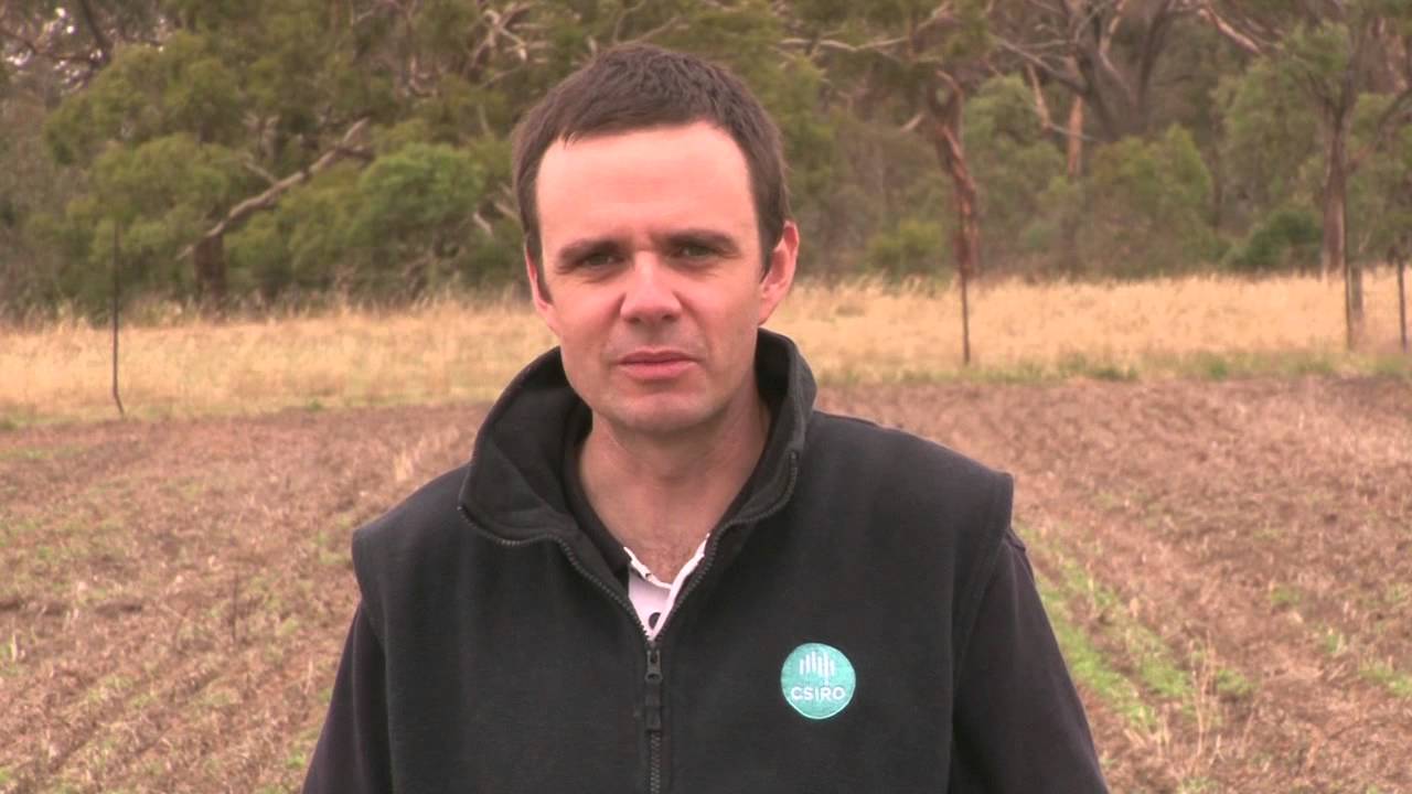 GCTV Extension Files: Wheat Sowing Strategies