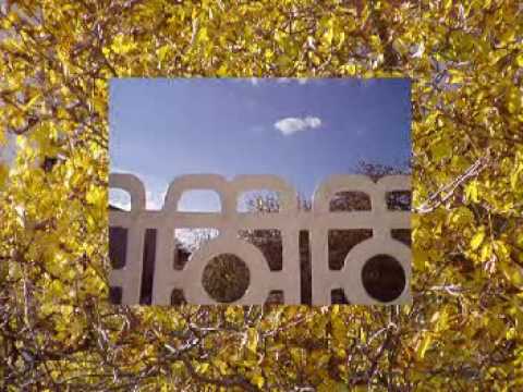 HNZK - Painfull Hill