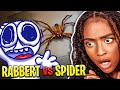 Little Rabbert Finds a Big Spider