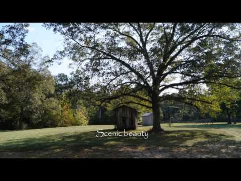 Archive 55 Video thumbnail