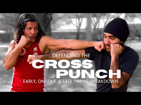 Wing Chun vs Cross Punch – Early, On-Time & Late Timing Breakdown