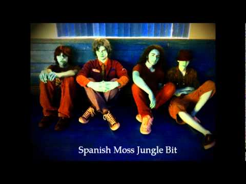 Spanish Moss Jungle Bit