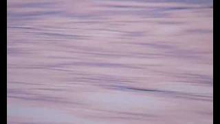 what are you looking 4