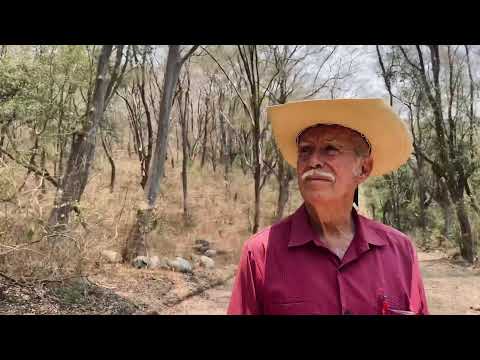 Joan Sebastian - Volví Pa'l Pueblo