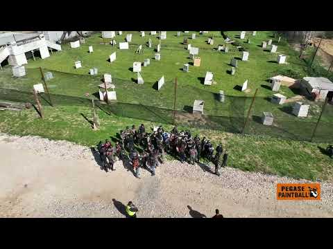 Video vignette