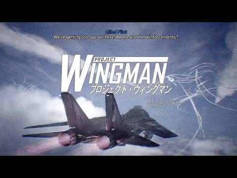 Project Wingman Full Playthrough (Mercenary Difficulty, Two Seats, No Commentary)